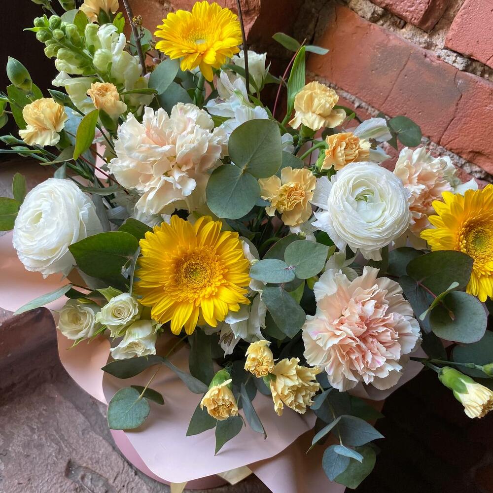 гербер гербер