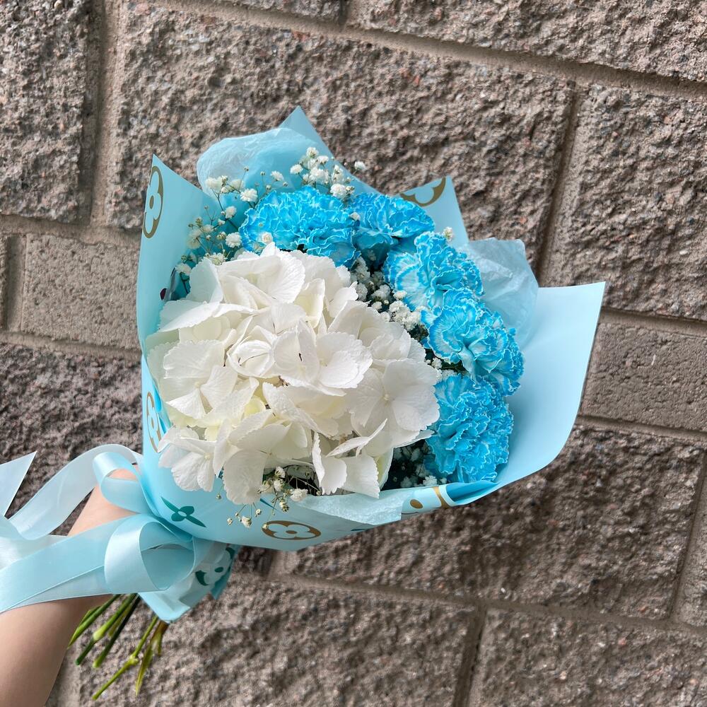 Гортензия, Гипсофила и диантусы